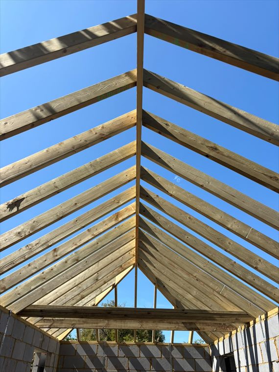 Vaulted roof structure from inside